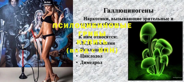 мдпв Верхний Тагил