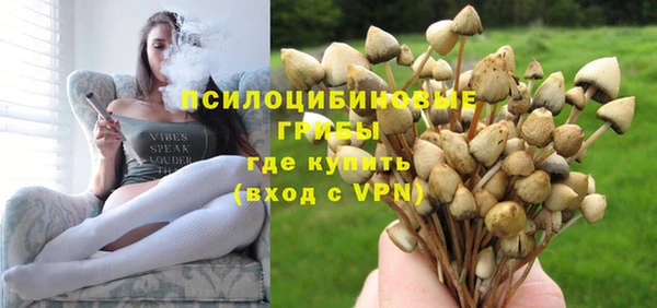 мдпв Верхний Тагил