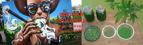 мдпв Верхний Тагил