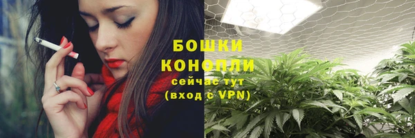 мдпв Верхний Тагил