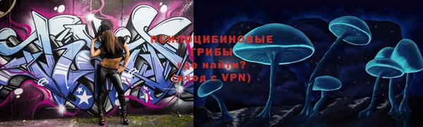 мдпв Верхний Тагил